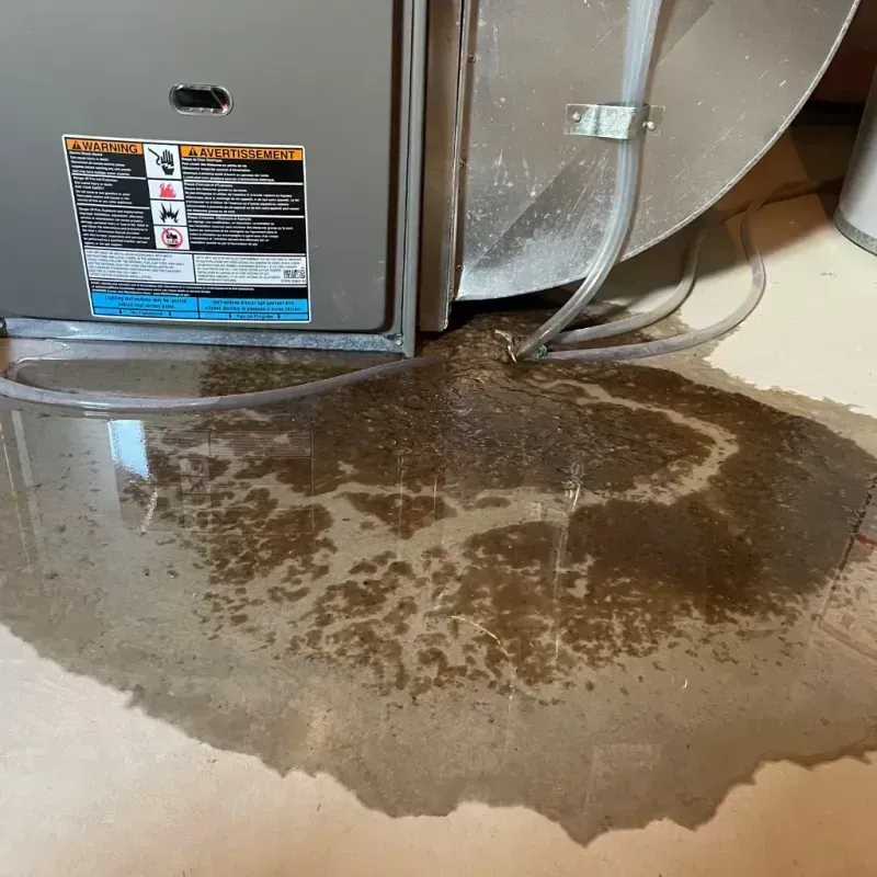 Appliance Leak Cleanup in Mishawaka, IN